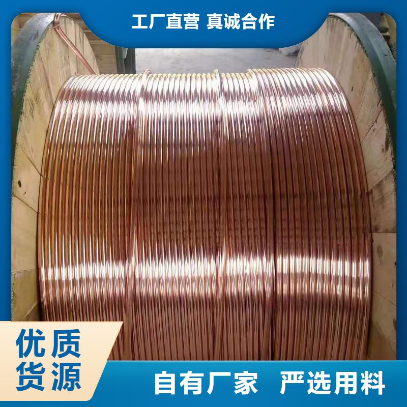 裸铜绞线300mm2%变电站一米批发