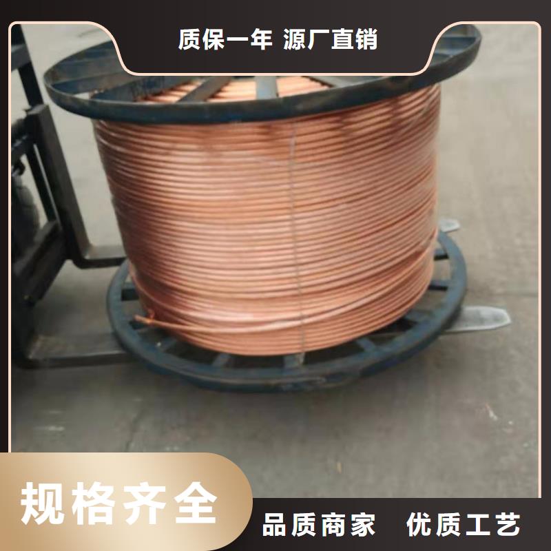 裸铜绞线300mm2%变电站一米批发