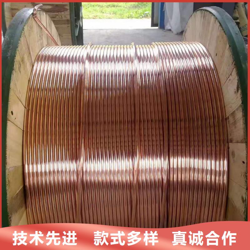 裸铜绞线300mm2%变电站一米批发