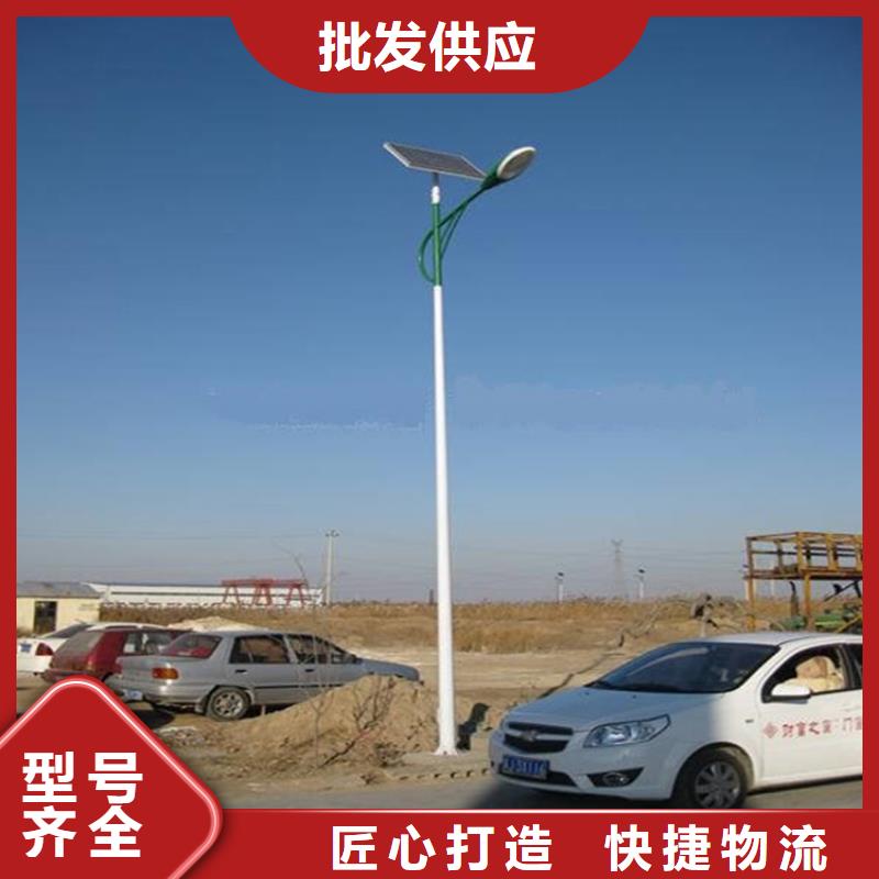 太陽能市電路燈廠家定制定做