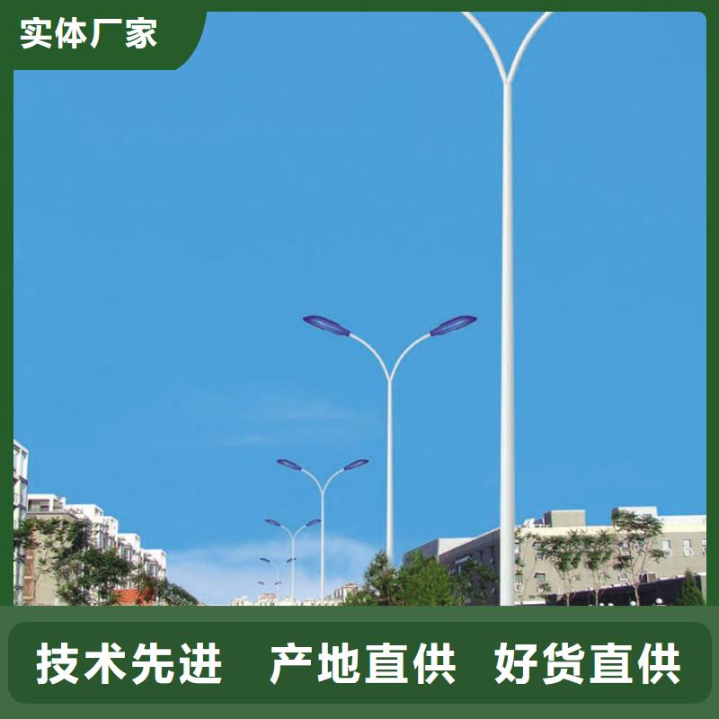 太陽能市電路燈廠家N年專注