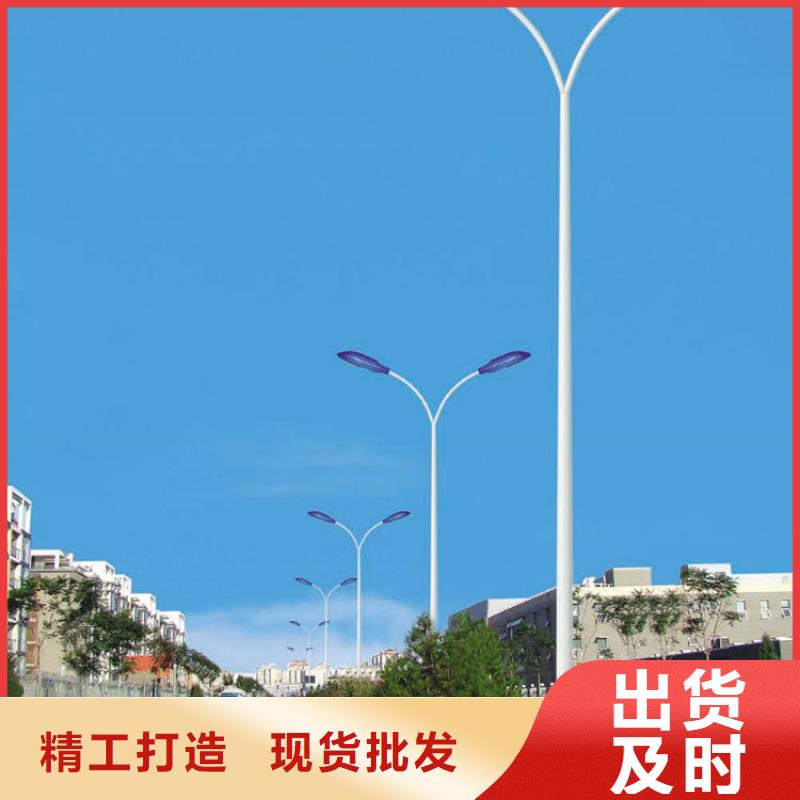 太陽能市電太陽能路燈廠家24小時(shí)下單發(fā)貨