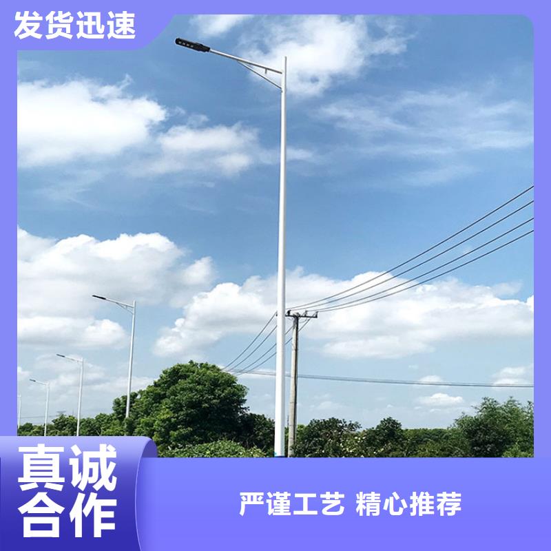 太陽能市電路燈廠家高質(zhì)量高信譽(yù)