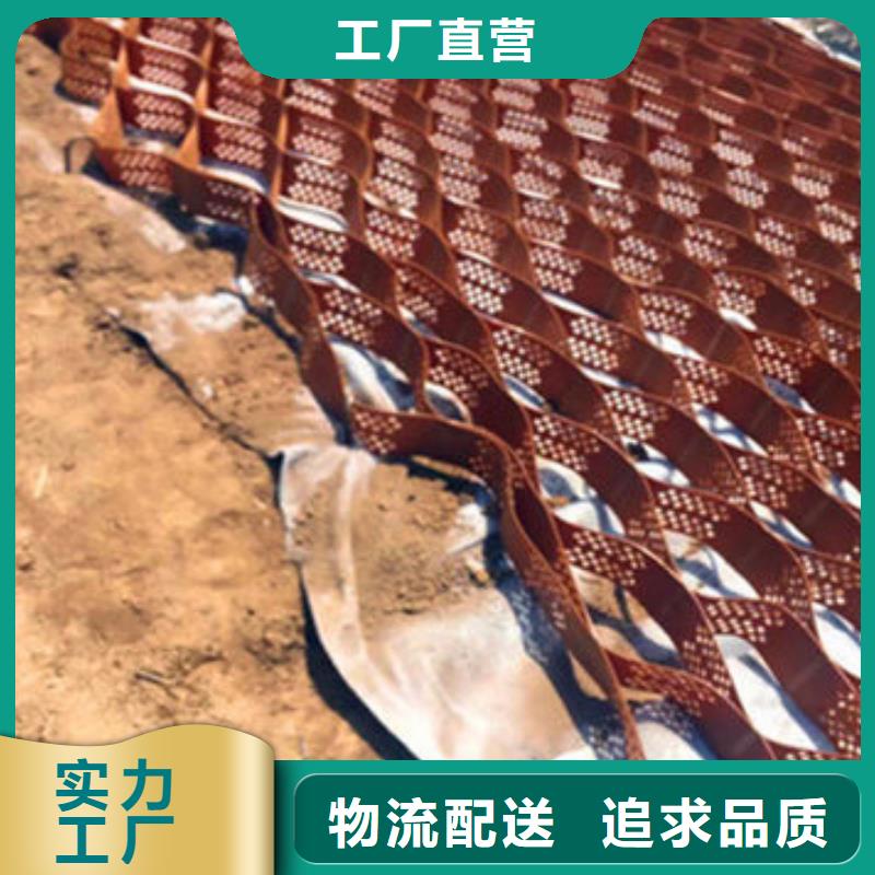蜂巢格室工程--蜂巢格室445