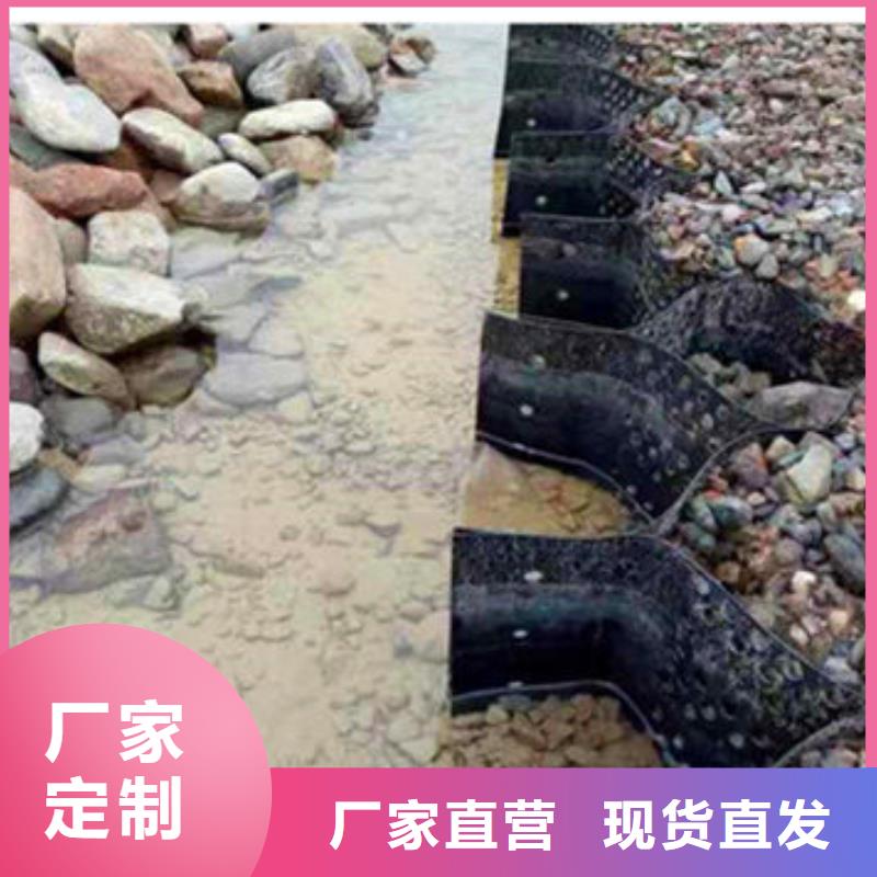  蜂巢格室选择我们没错