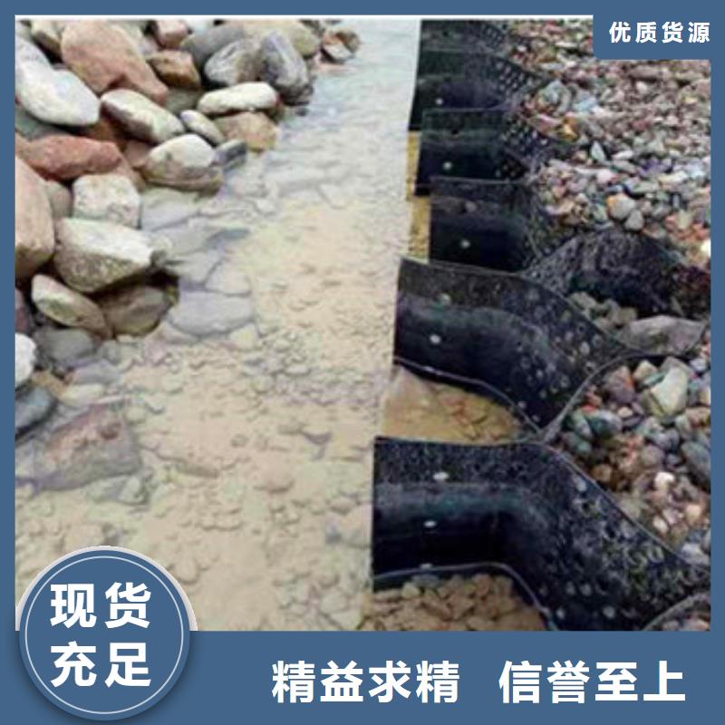 蜂巢格室【玻纖土工格柵】專業(yè)生產(chǎn)團隊