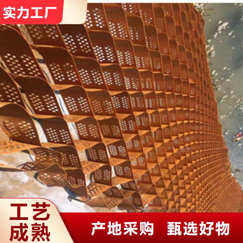 蜂巢格室玻纤土工格栅专业完善售后
