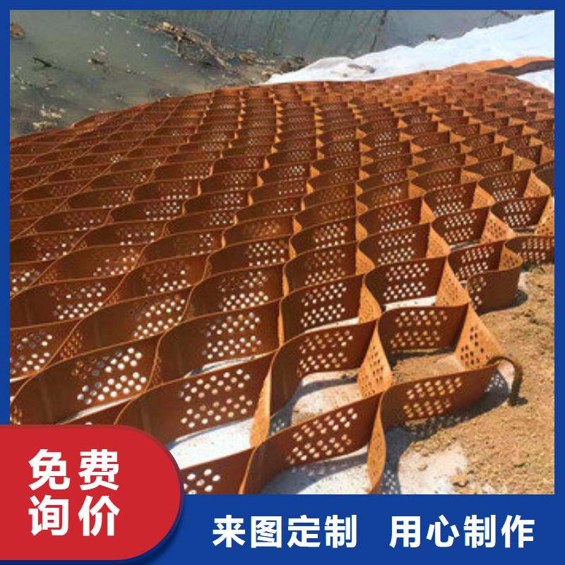 蜂巢格室_網(wǎng)格布豐富的行業(yè)經(jīng)驗