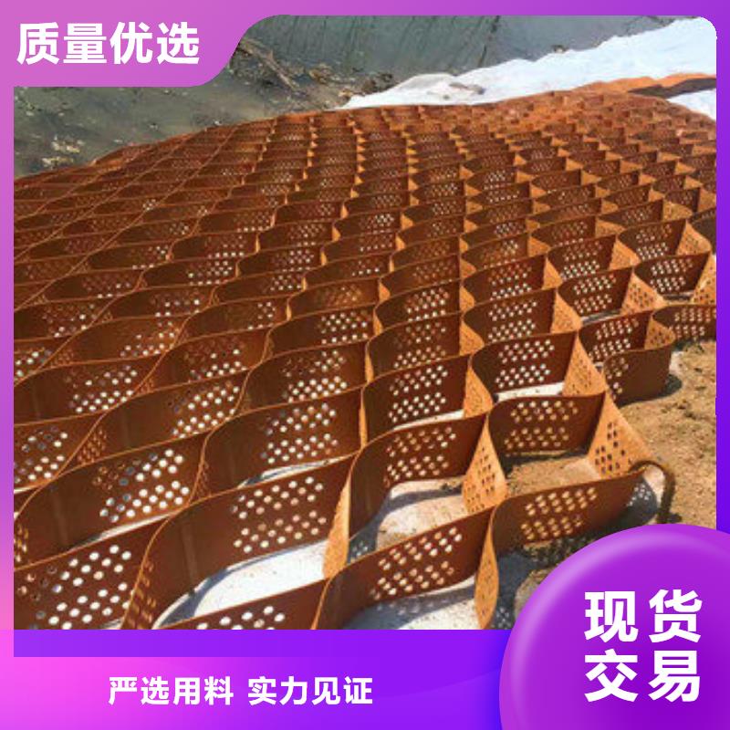 蜂巢格室玻纖土工格柵專業(yè)完善售后