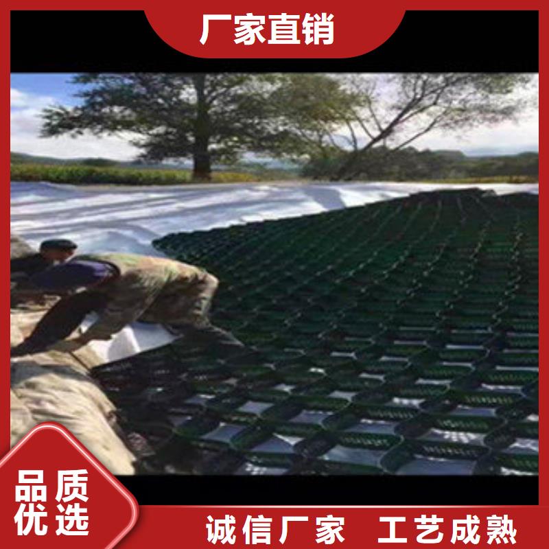 蜂巢格室土工格室性能穩(wěn)定