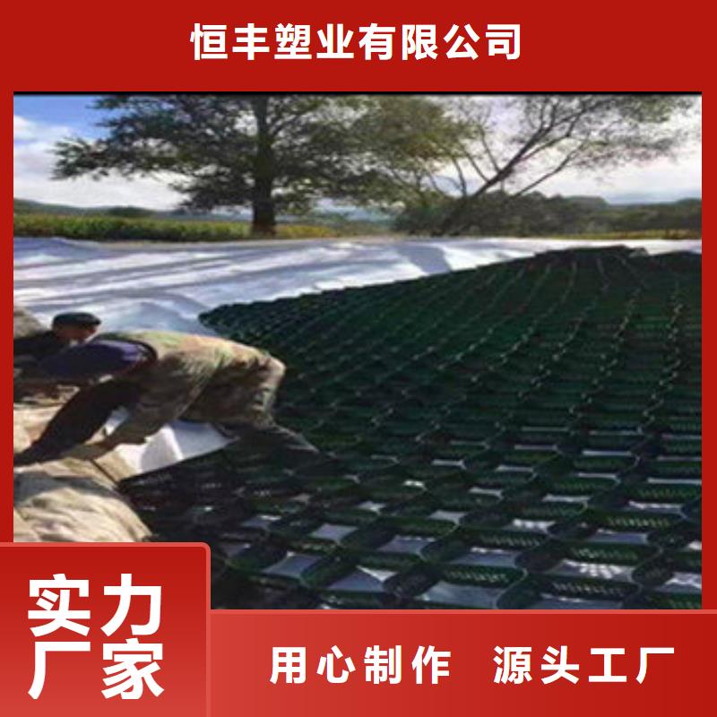 蜂巢格室_蜂格网当地货源