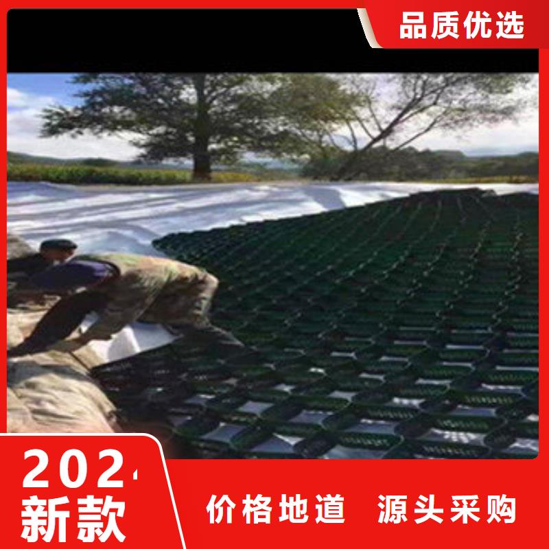 蜂巢格室玻璃纖維土工格柵廠家自營(yíng)