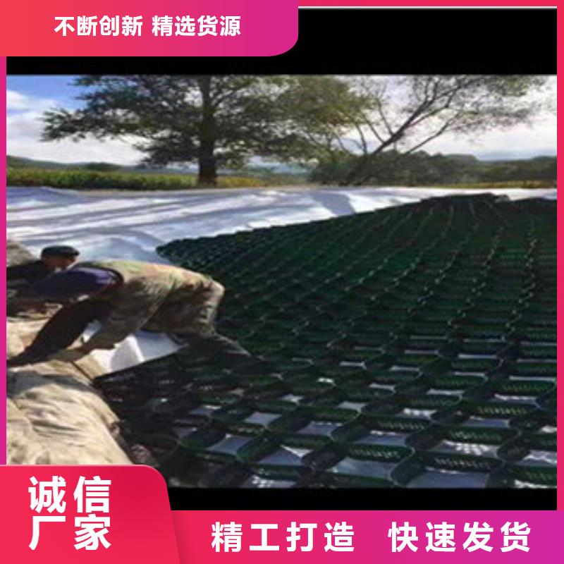 蜂巢格室塑料格栅口碑好实力强