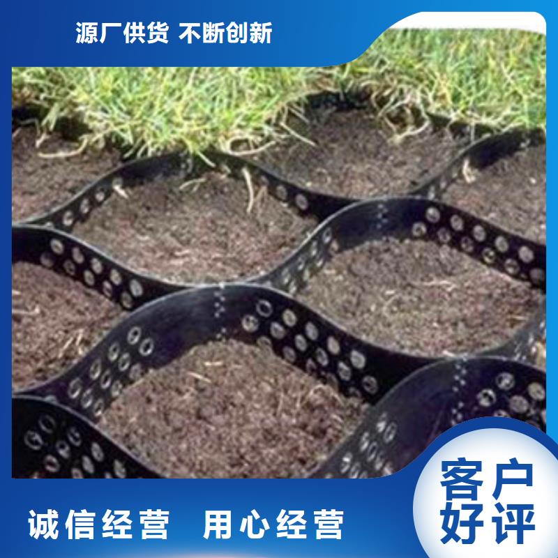 蜂巢格室土工格室質量為本