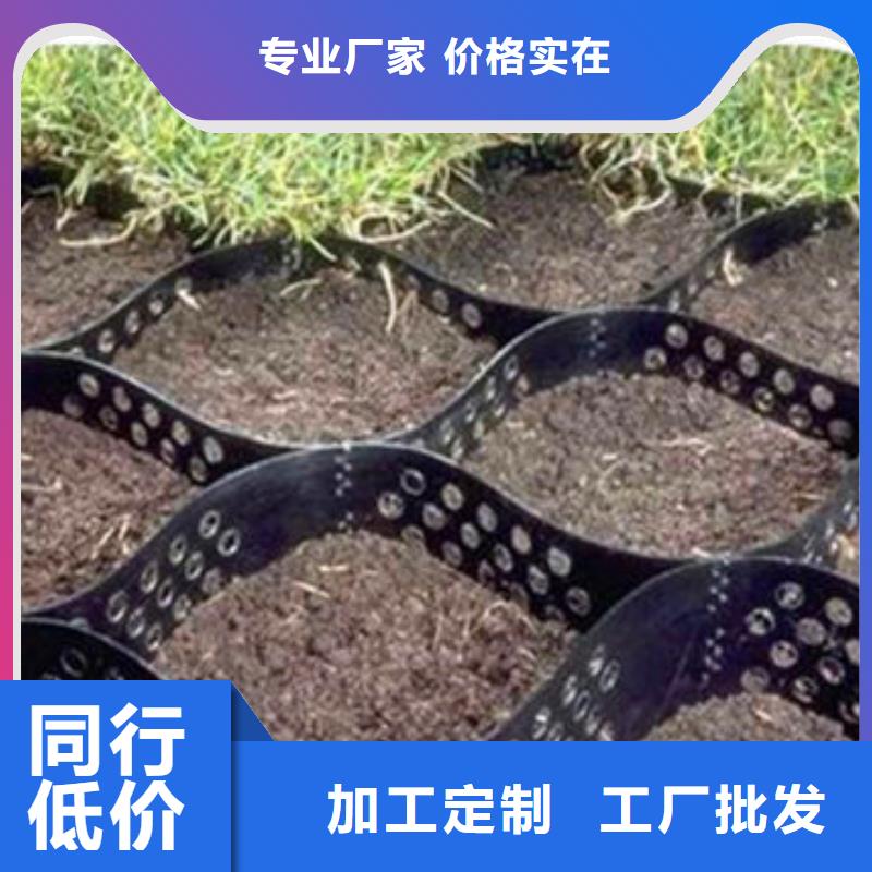 蜂巢格室-玻纖格柵擁有多家成功案例