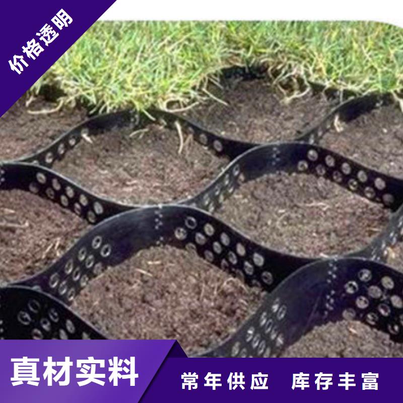 蜂巢格室拉筋帶準(zhǔn)時交付