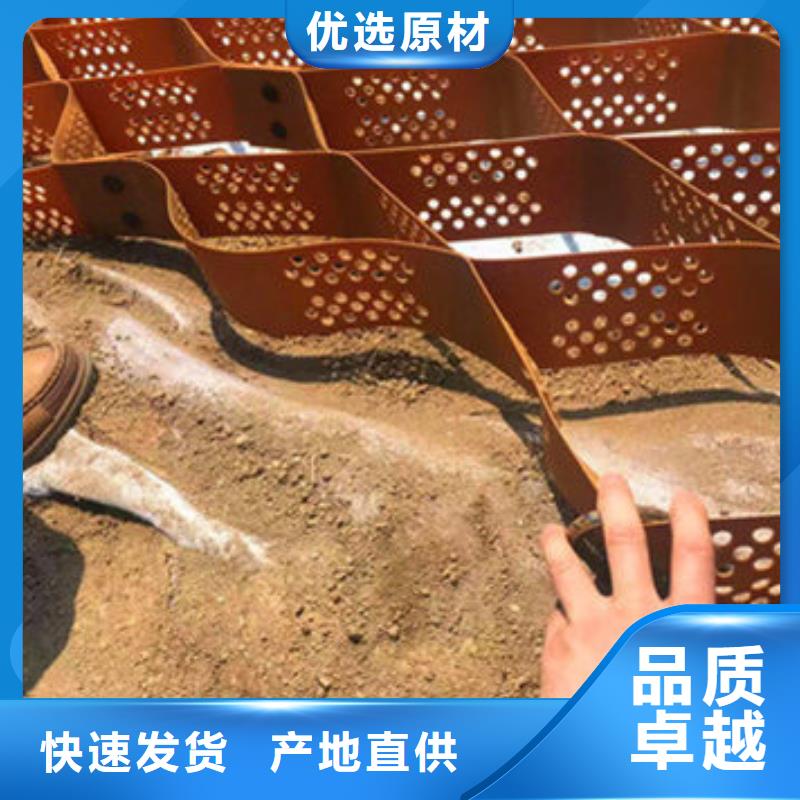 蜂巢格室_生態(tài)帶優(yōu)質(zhì)原料