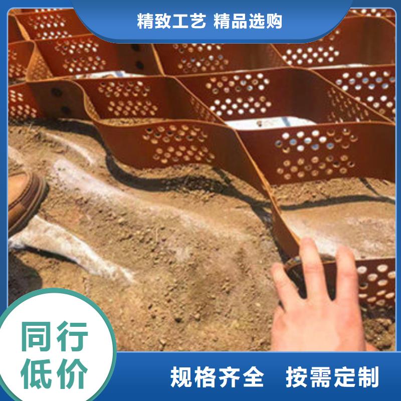 蜂巢格室拉筋帶準(zhǔn)時交付