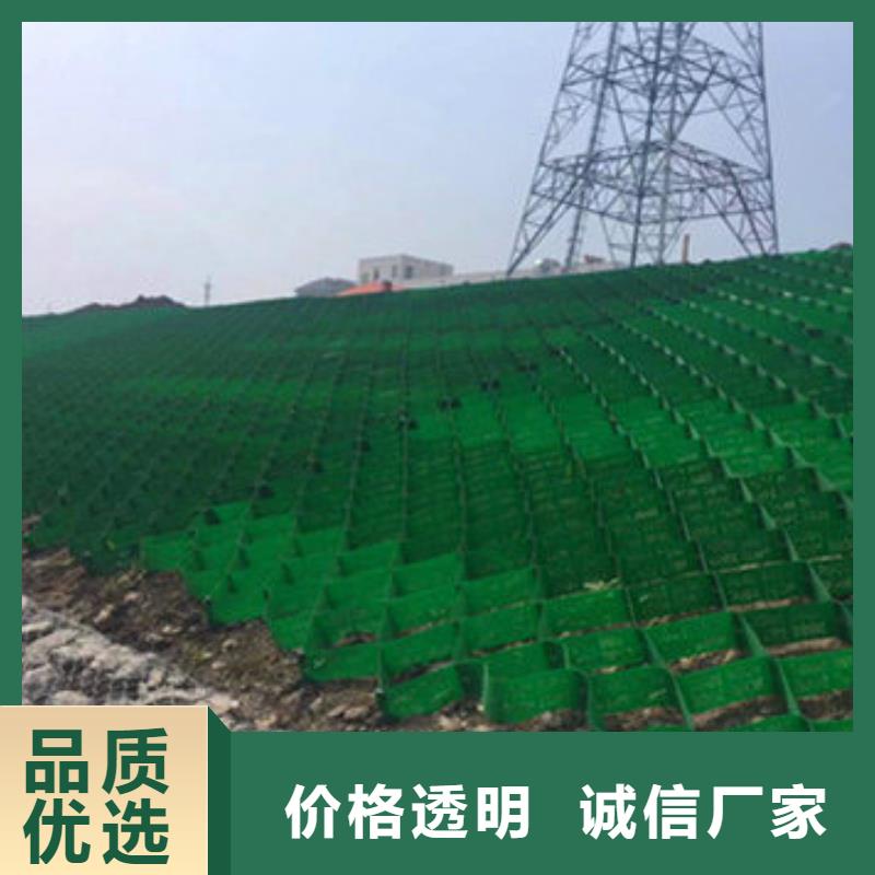 蜂巢格室塑料盲沟支持拿样