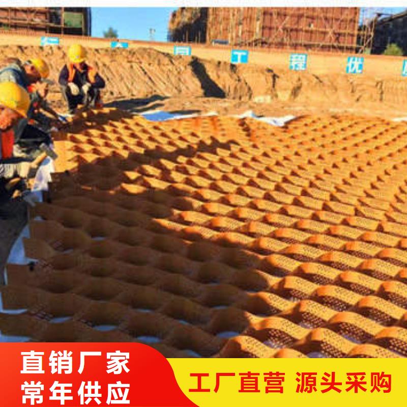 高分子土工格室100mm源頭底價