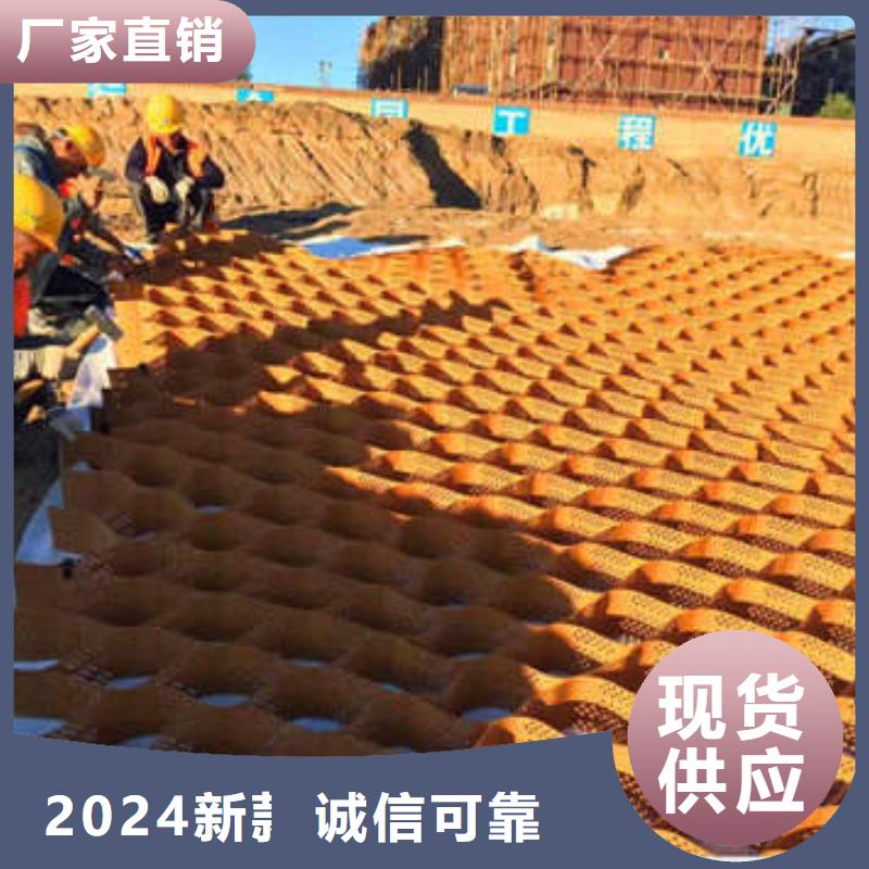 蜂巢格室雙向塑料土工格柵出貨快