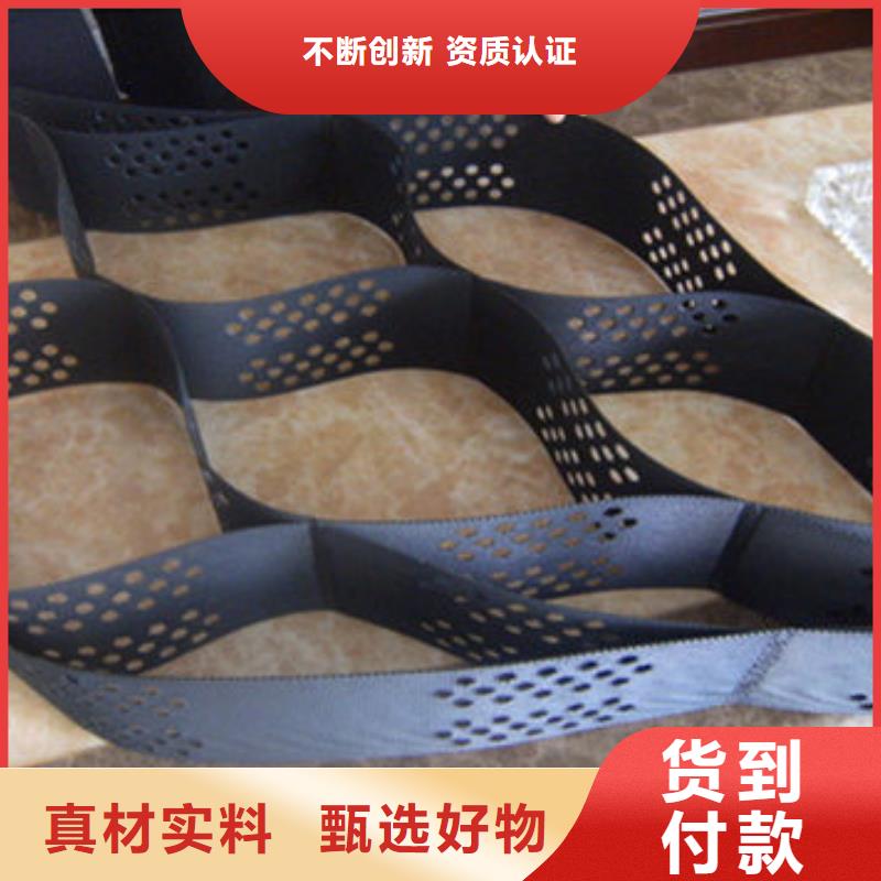 【蜂巢格室蜂巢格賓網(wǎng)制造生產(chǎn)銷售】
