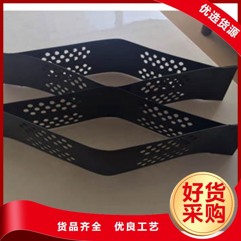 蜂巢格室 土工格柵廠家貨源