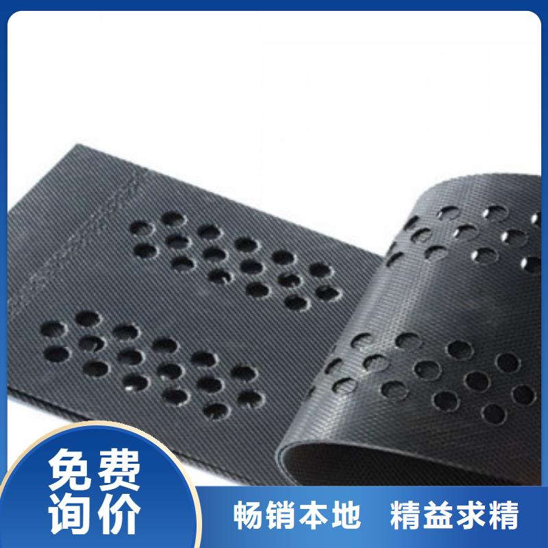 【蜂巢格室鋼塑格柵多種工藝】