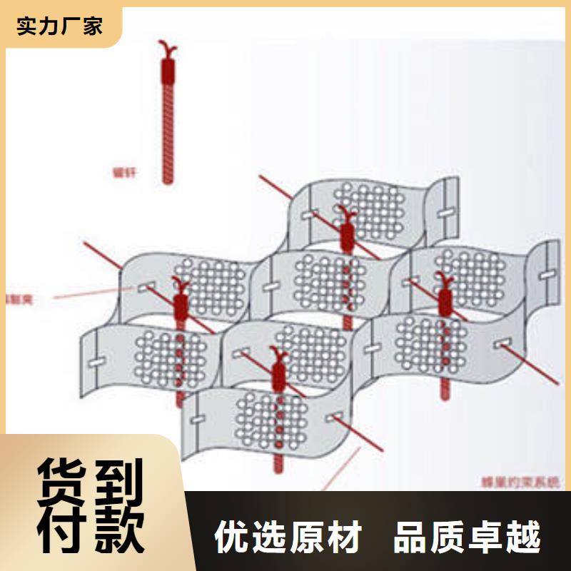 蜂巢格室-蜂巢土工格室經(jīng)驗(yàn)豐富質(zhì)量放心