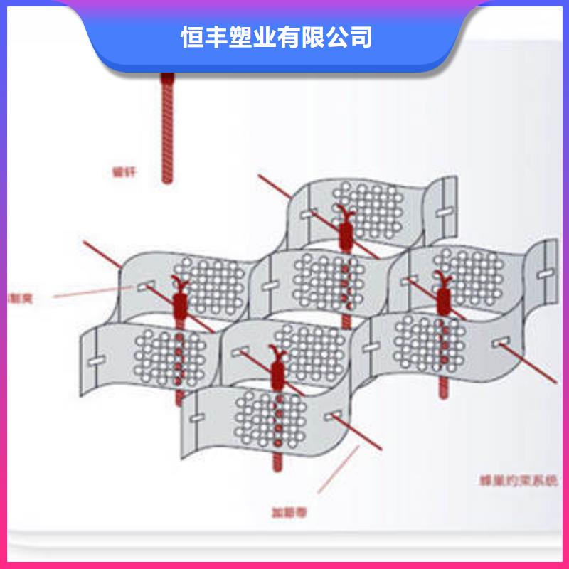 【蜂巢格室】钢塑土工格栅严谨工艺