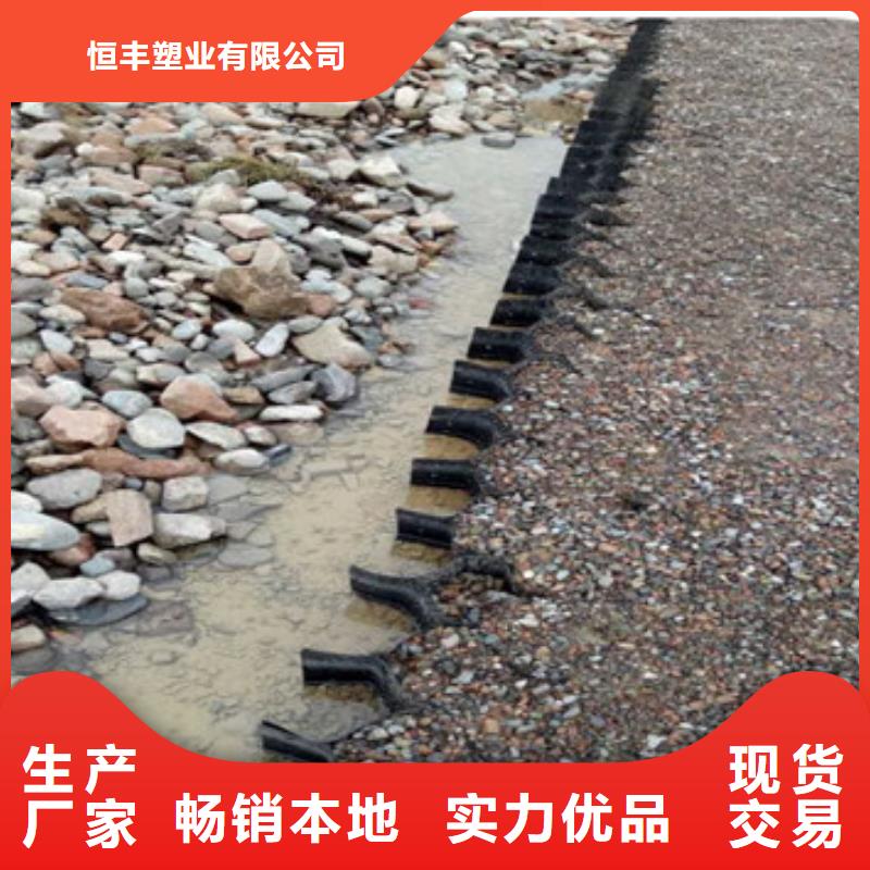 蜂巢格室,塑料玻纤格栅专业生产厂家