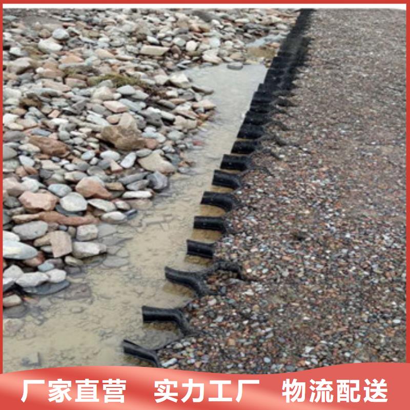 蜂巢格室_生態(tài)帶優(yōu)質(zhì)原料