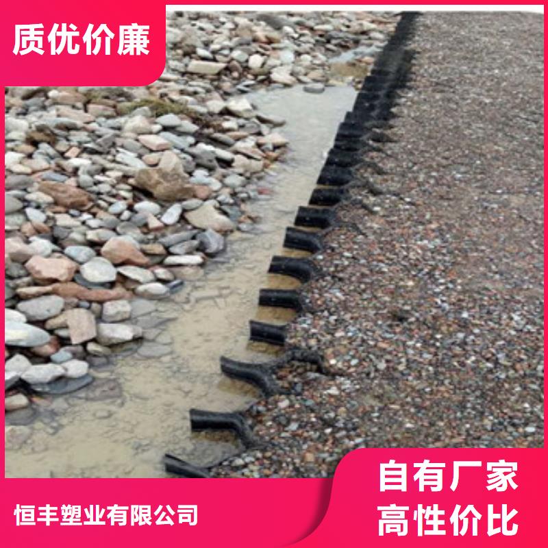 蜂巢格室-蜂格网工厂直供