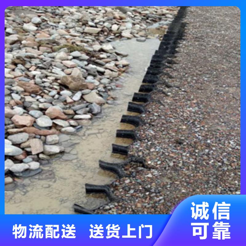  蜂巢格室选择我们没错