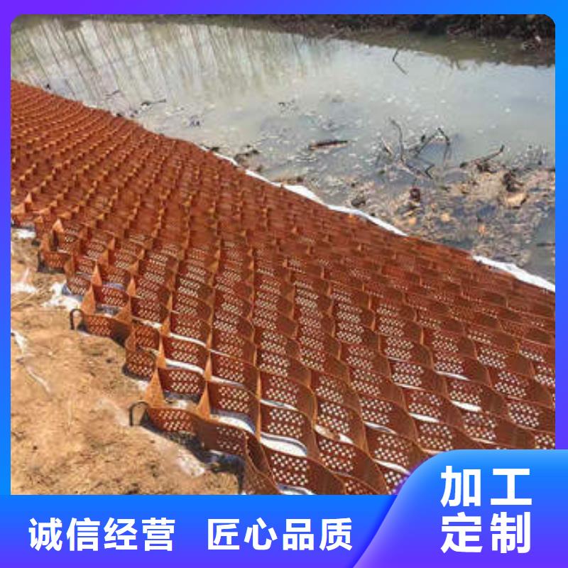 蜂巢格室【滌綸格柵】技術(shù)先進(jìn)
