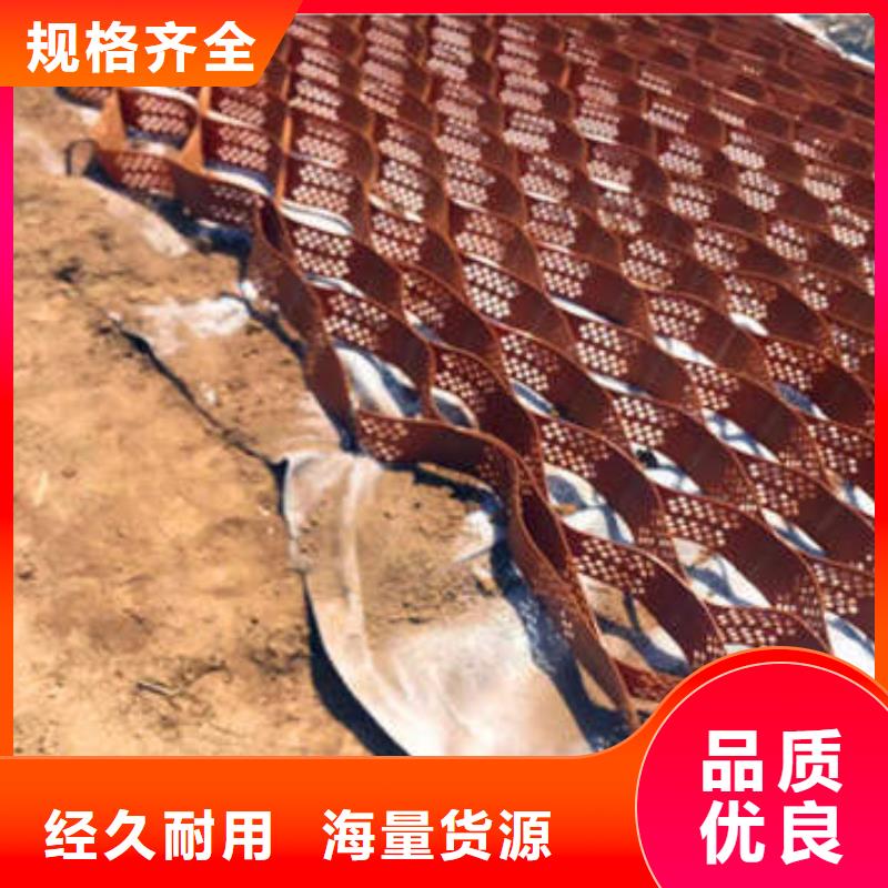 蜂巢格室-塑料土工格室實(shí)力優(yōu)品