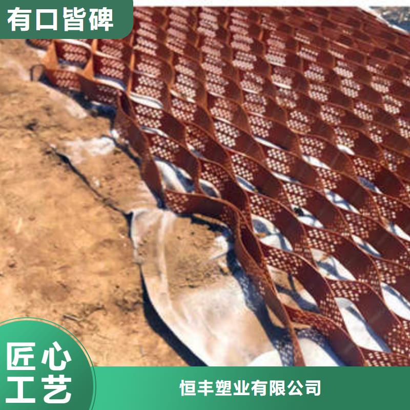 蜂巢格室土工膜实力厂商