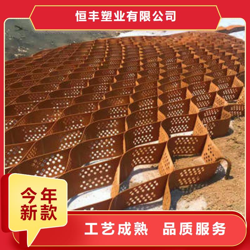 蜂巢格室,土工布經(jīng)驗豐富質(zhì)量放心