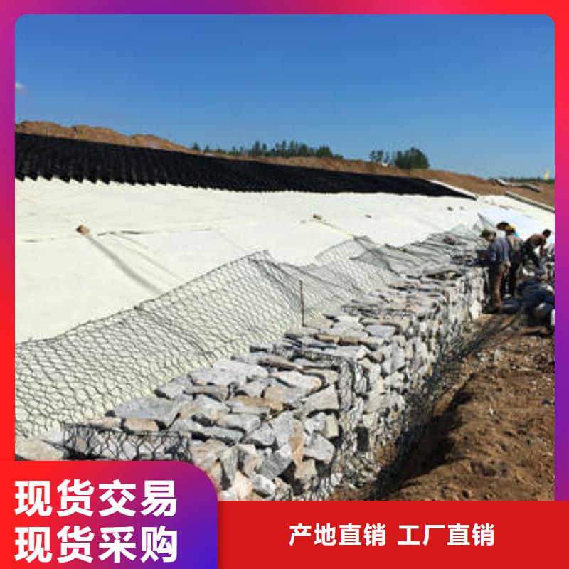  蜂巢格室真材實料加工定制