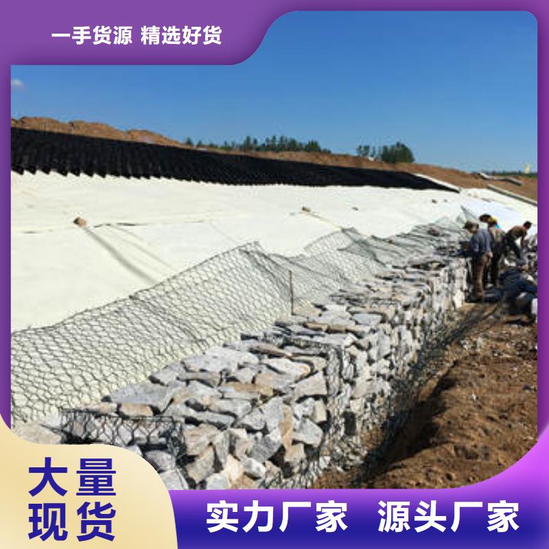 蜂巢格室,蜂格網(wǎng)閃電發(fā)貨