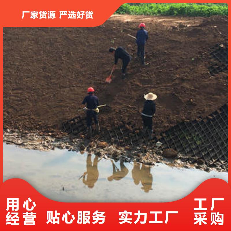 蜂巢格室拉筋帶真誠(chéng)合作