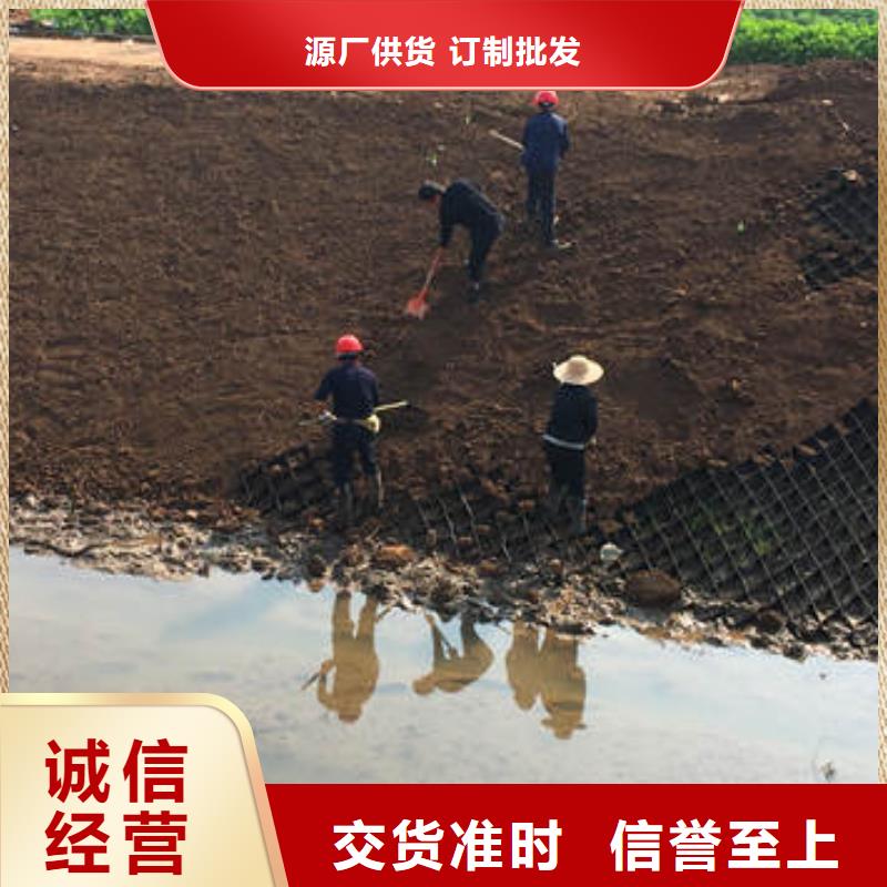 蜂巢格室防水保温材料用的放心