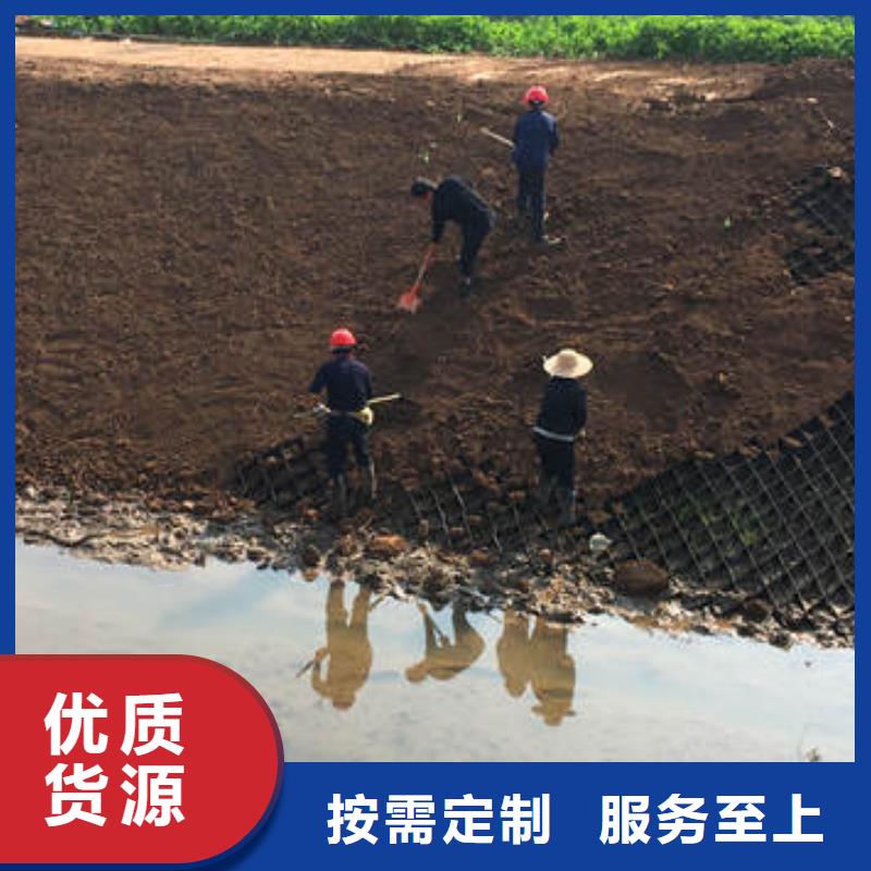 蜂巢格室-土工格柵今日新品