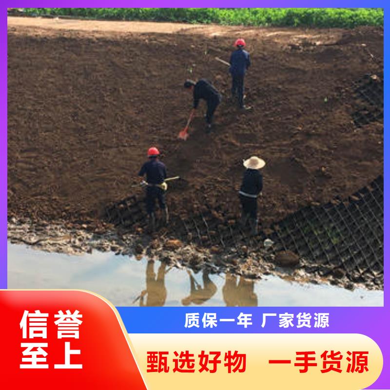 蜂巢格室土工格室为您提供一站式采购服务