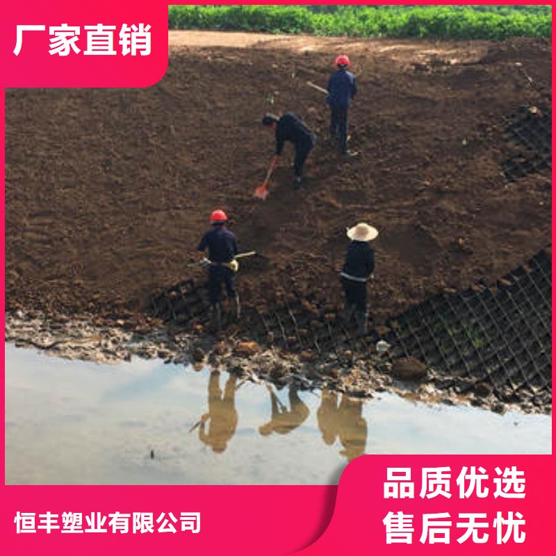 高分子土工格室100mm源頭底價