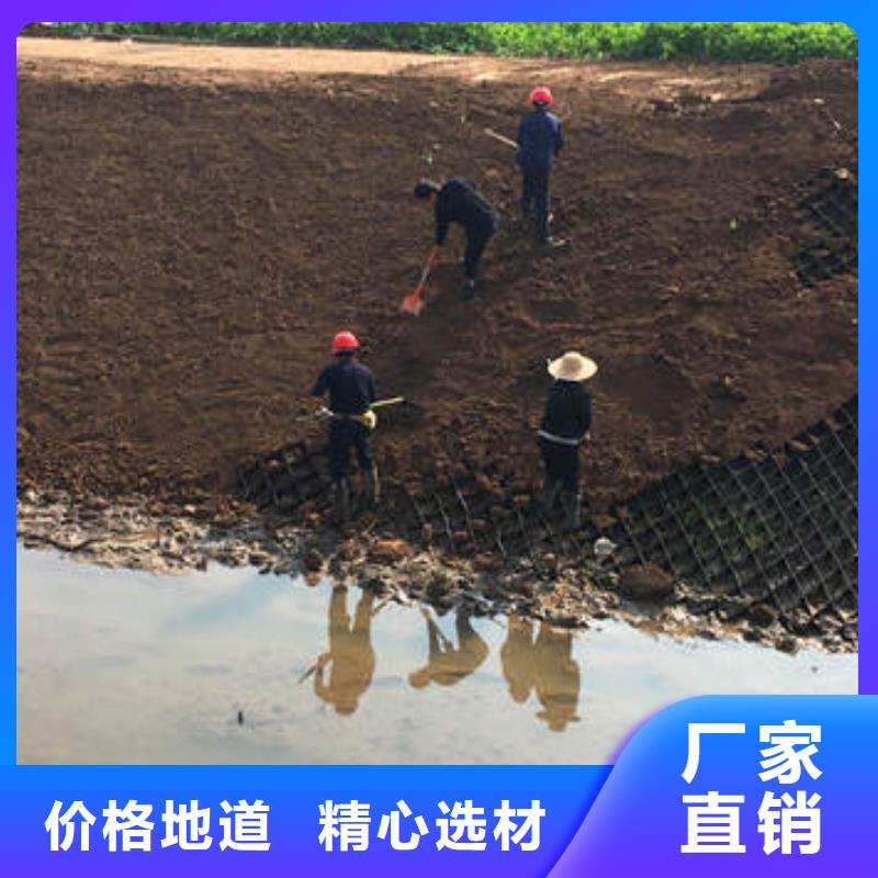 蜂巢格室【三維植被網(wǎng)】用品質(zhì)說話