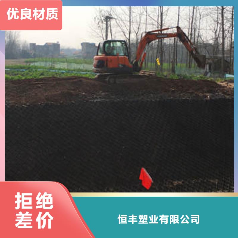 蜂巢格室塑料土工格室價(jià)格公道合理