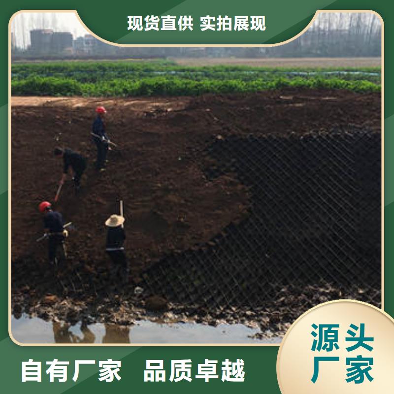 【蜂巢格室蜂巢格賓網(wǎng)制造生產(chǎn)銷售】