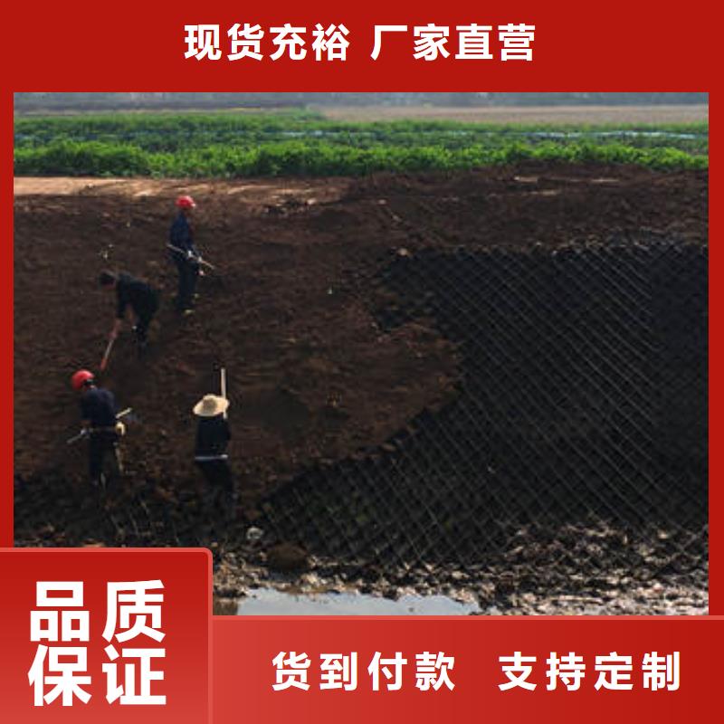 蜂巢格室 土工格室质量牢靠