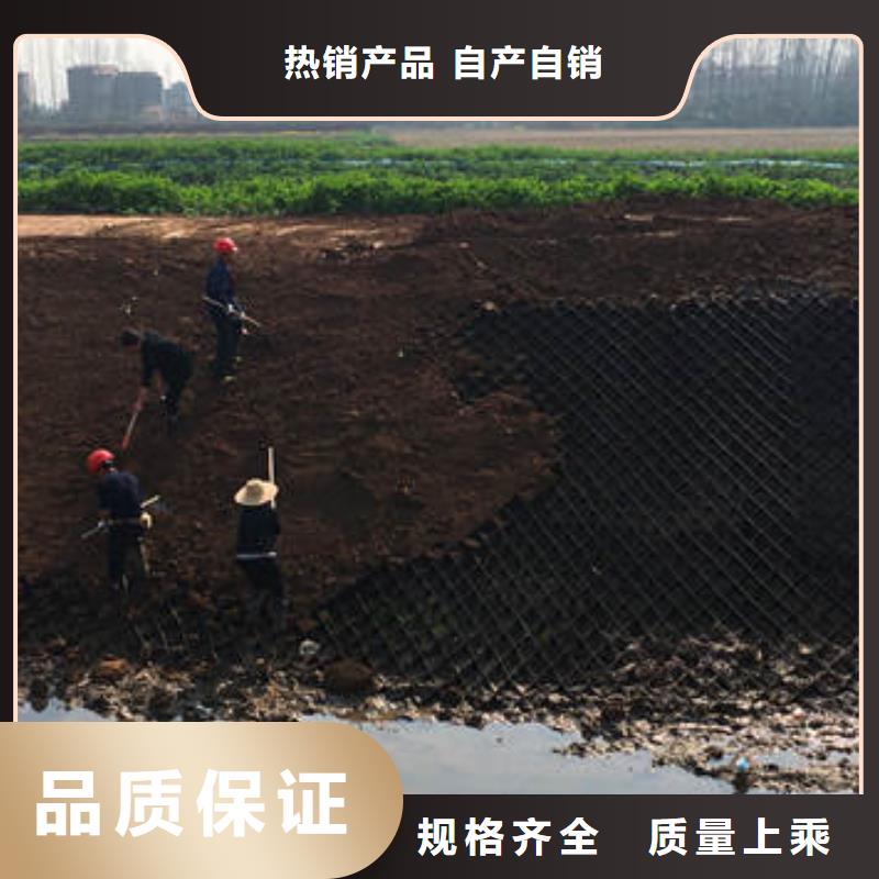 蜂巢格室拉筋带一个起售